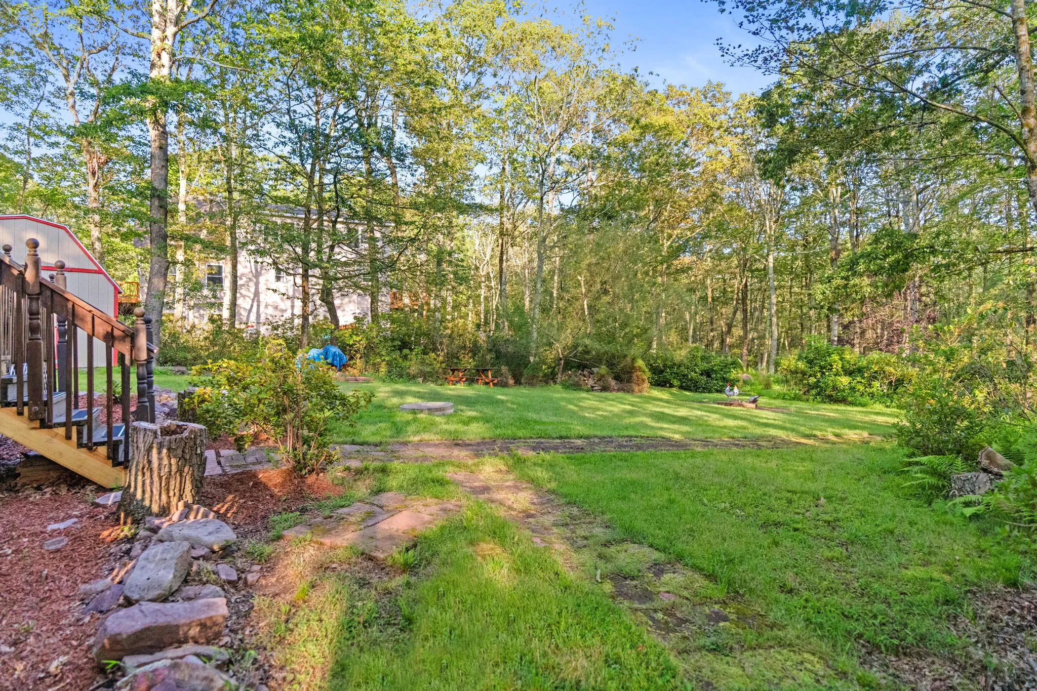 Deck and wooded yard, 8 of 19