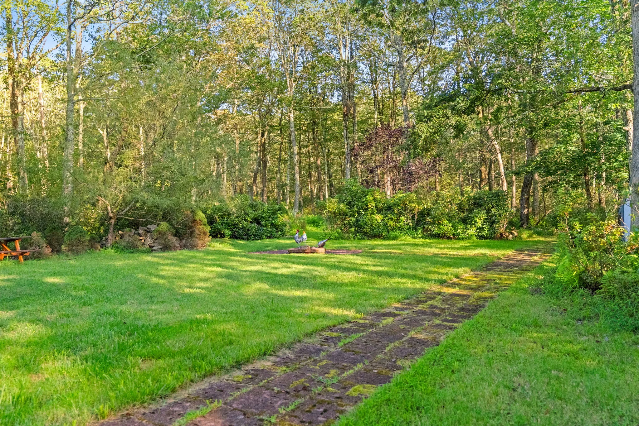 Deck and wooded yard, 9 of 19