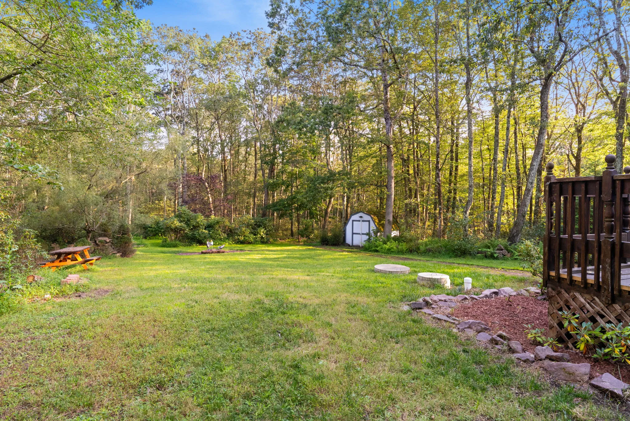 Deck and wooded yard, 19 of 19